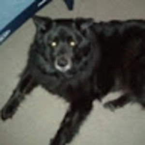 Meet your Posher, Emmyjenine